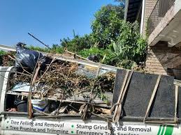  Willow, AK Junk Removal Services Pros