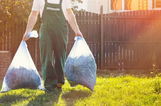 Best Electronics and E-Waste Disposal  in Willow, AK