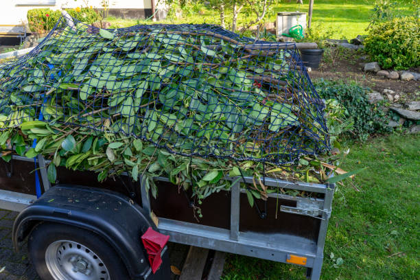 Best Dumpster Rental Services  in Willow, AK